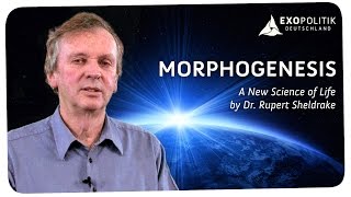 Rupert Sheldrake Morphogenesis  A New Science of Life [upl. by Anigriv]