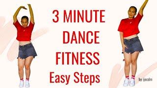 3Minute Dance Fitness  Easy Steps [upl. by Wyck]