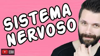 SISTEMA NERVOSO  FISIOLOGIA  Aula  Biologia com Samuel Cunha [upl. by Aloysia573]