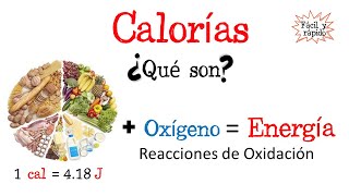 🍔¿Qué son las calorías🔥 Fácil y Rápido  BIOLOGÍA  FÍSICA  QUÍMICA [upl. by Rochette]