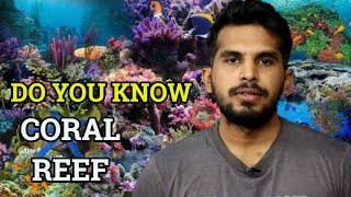 In Hindi What are Coral Reefs   Benefits of Coral Reef  Ecology UPSC IAS Exam  CJTalk [upl. by Ahse]