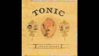 Tonic  If You Could Only See Adult Radio Mix HD [upl. by Ahtnamys]