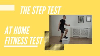 Home Fitness Test  Testing Cardio  Step Test [upl. by Fernald]