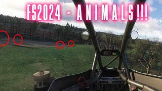 Finding ANIMALS in MSFS2024 [upl. by Nagram]