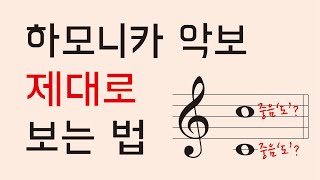 상식1 하모니카 악보 보는법악보마다 높낮이가 다른 이유 그 어디에서도 설명해주지 않는 내용 인투더 최초공개 ❗❗ [upl. by Paik]