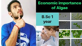 Economic importance of Algae [upl. by Yelrac]