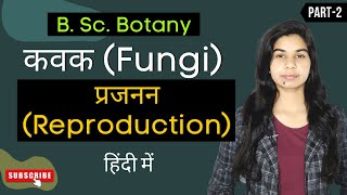 Fungi in Hindi  प्रजनन Reproduction  Botany [upl. by Oliy]