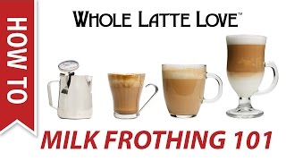 Milk Frothing for Beginners [upl. by Alben]