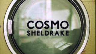 Cosmo Sheldrake  The Moss demo [upl. by Aibun]